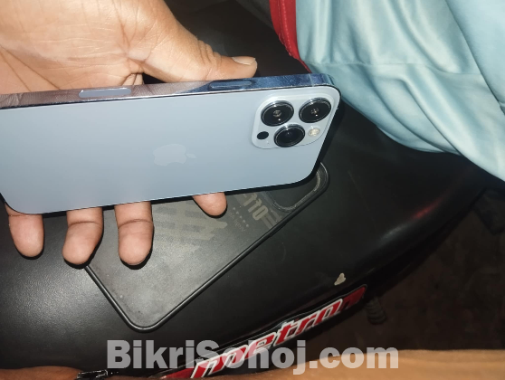 iPhone 13 Pro Max